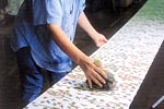 地染め