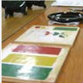 Photo5:RyukyuShikki Workshop